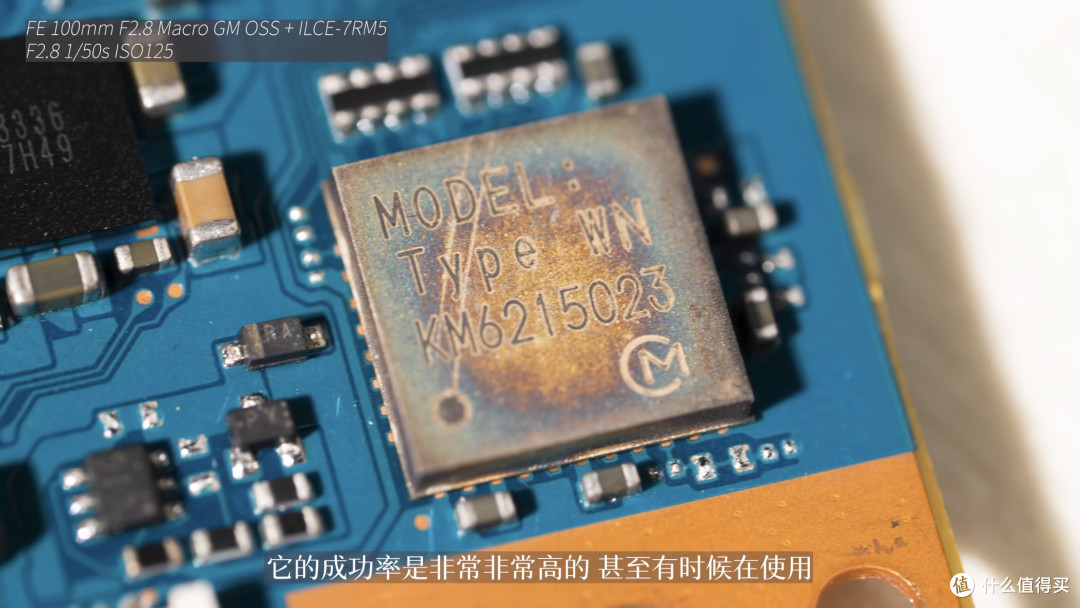 FE 100mm F2.8 Macro GM OSS + ILCE-7RM5 F2.8 1/50s ISO125