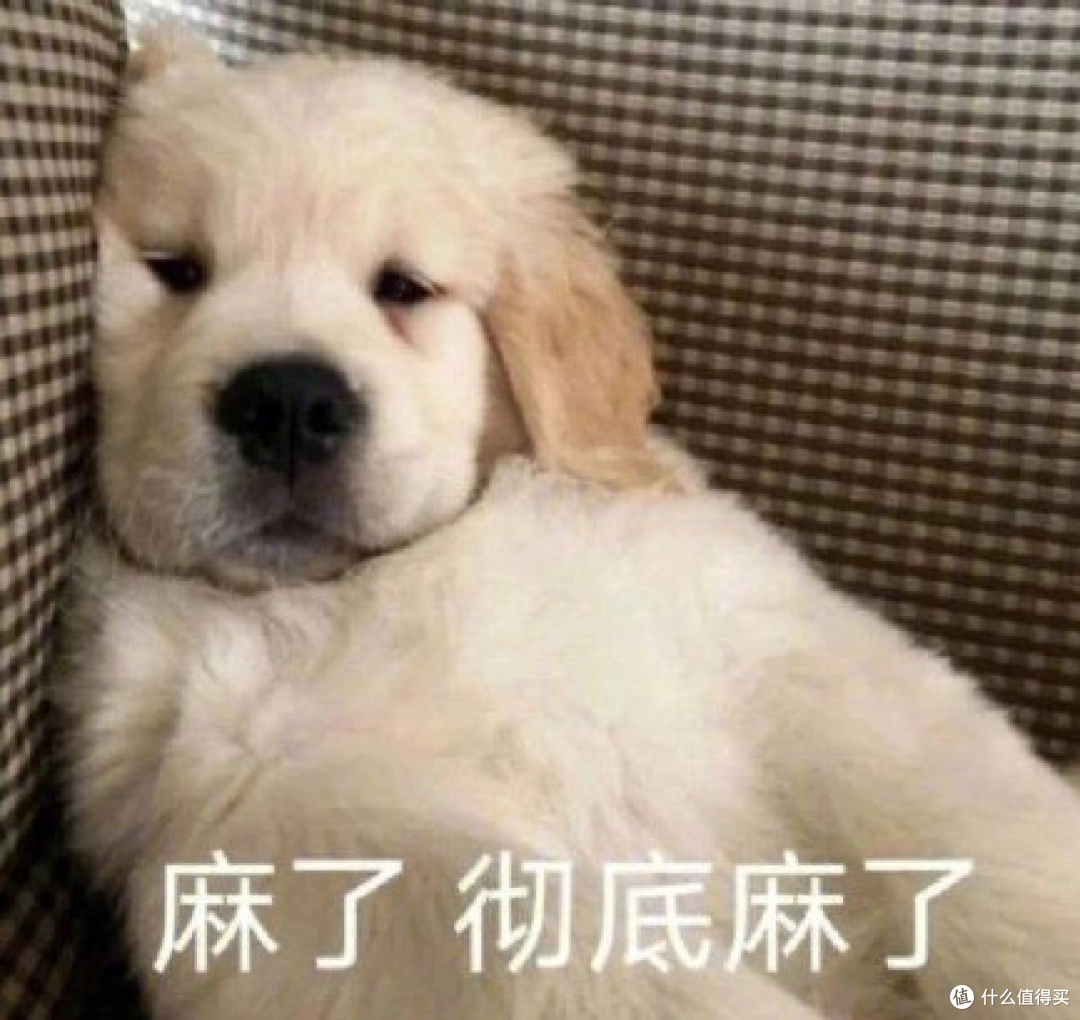 电脑跑不动了?你可能根本不需要安装这些软件|效率工具箱分享