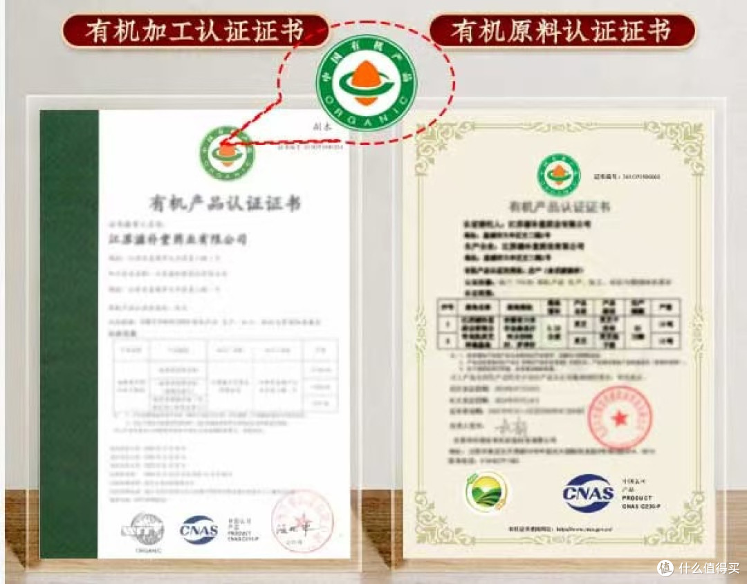 灵芝破壁孢子粉哪个牌子好？和灵芝粉有啥区别？口碑品牌实地测评