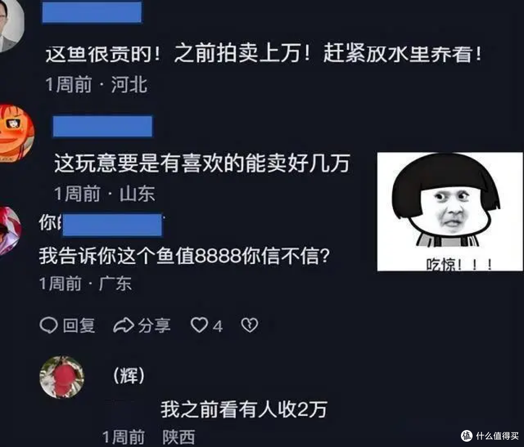 天津大哥钓获 “龙纹鲤”,网友喊价两万!内行笑了