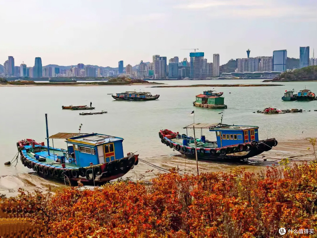 我的春节在路上：海沧湾这5.8公里，是避开人潮的冬日海岸