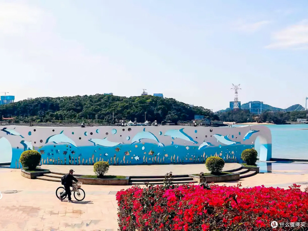 我的春节在路上：海沧湾这5.8公里，是避开人潮的冬日海岸