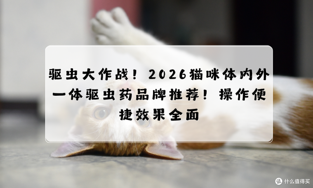 驱虫大作战!2026猫咪体内外一体驱虫药品牌推荐!操作便捷效