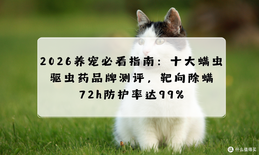 2026养宠必看指南：十大螨虫驱虫药品牌测评，靶向除螨防护率达99