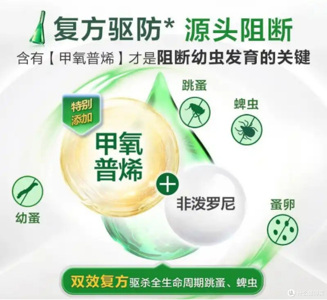 狗狗过年也要收礼物呀!不知道买什么的看这里!