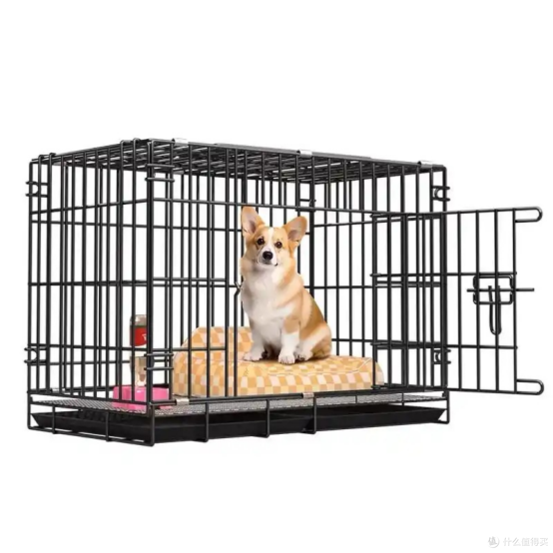 狗狗过年也要收礼物呀!不知道买什么的看这里!