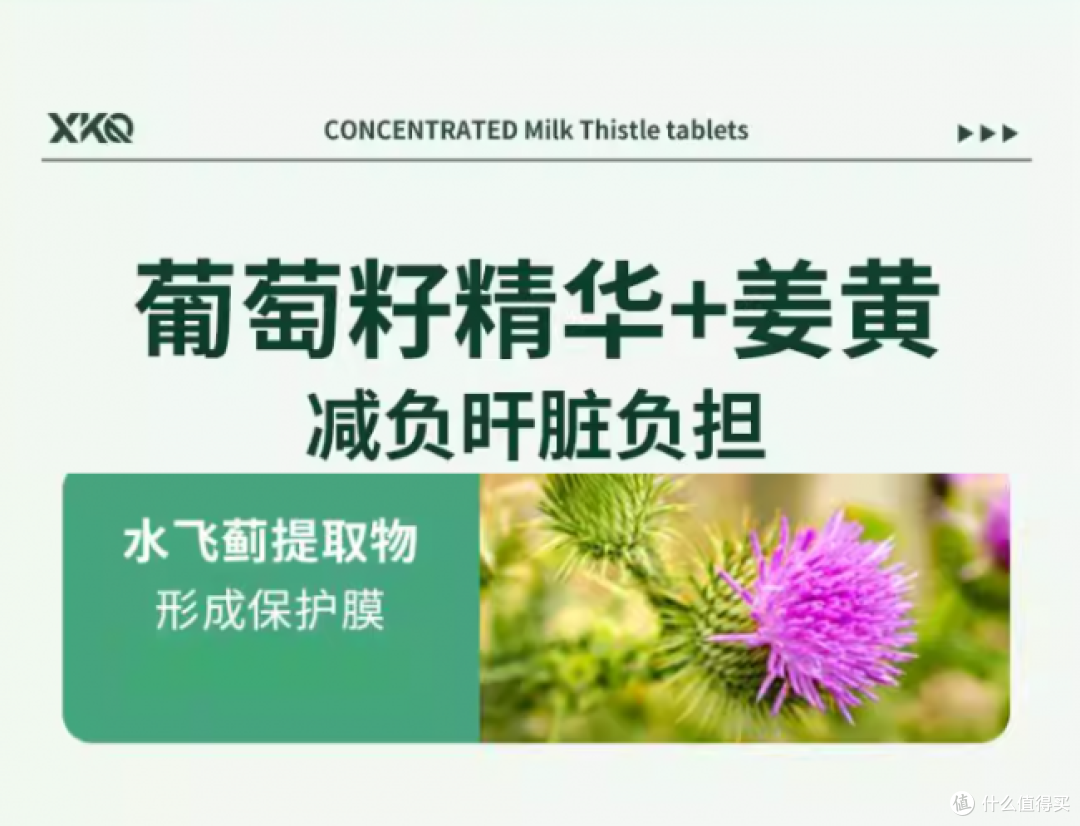2026年2月护肝片实力榜单:五大优质品牌测评,科学养肝效果优选