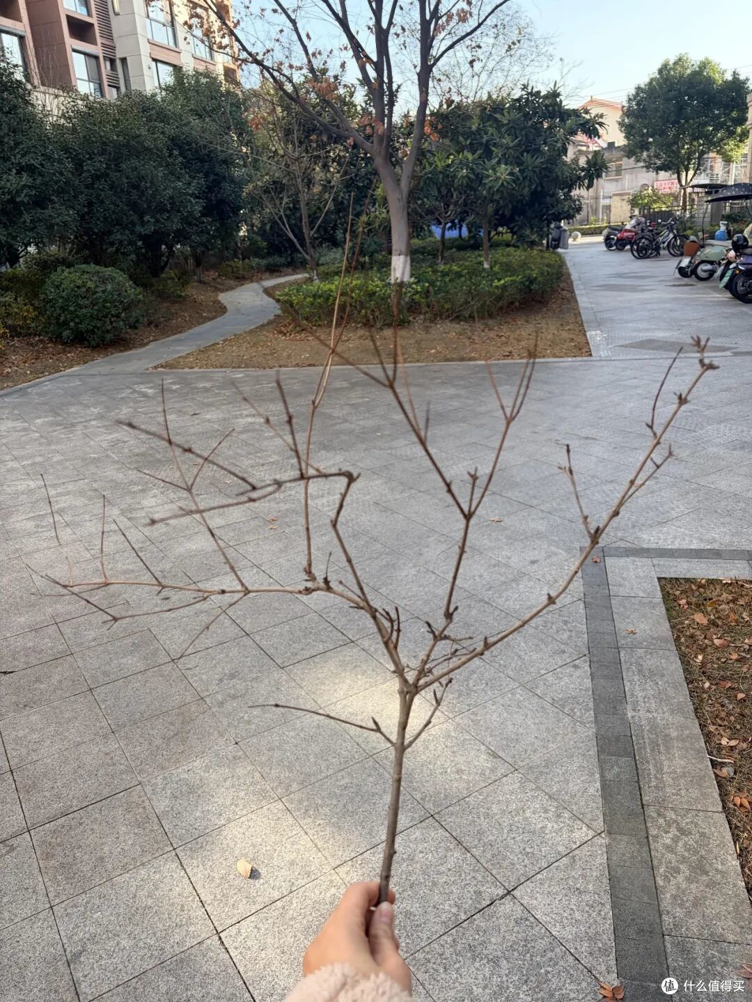 被年轻人家的8个“家居巧思”惊艳了!花钱不多,却十分温馨治愈