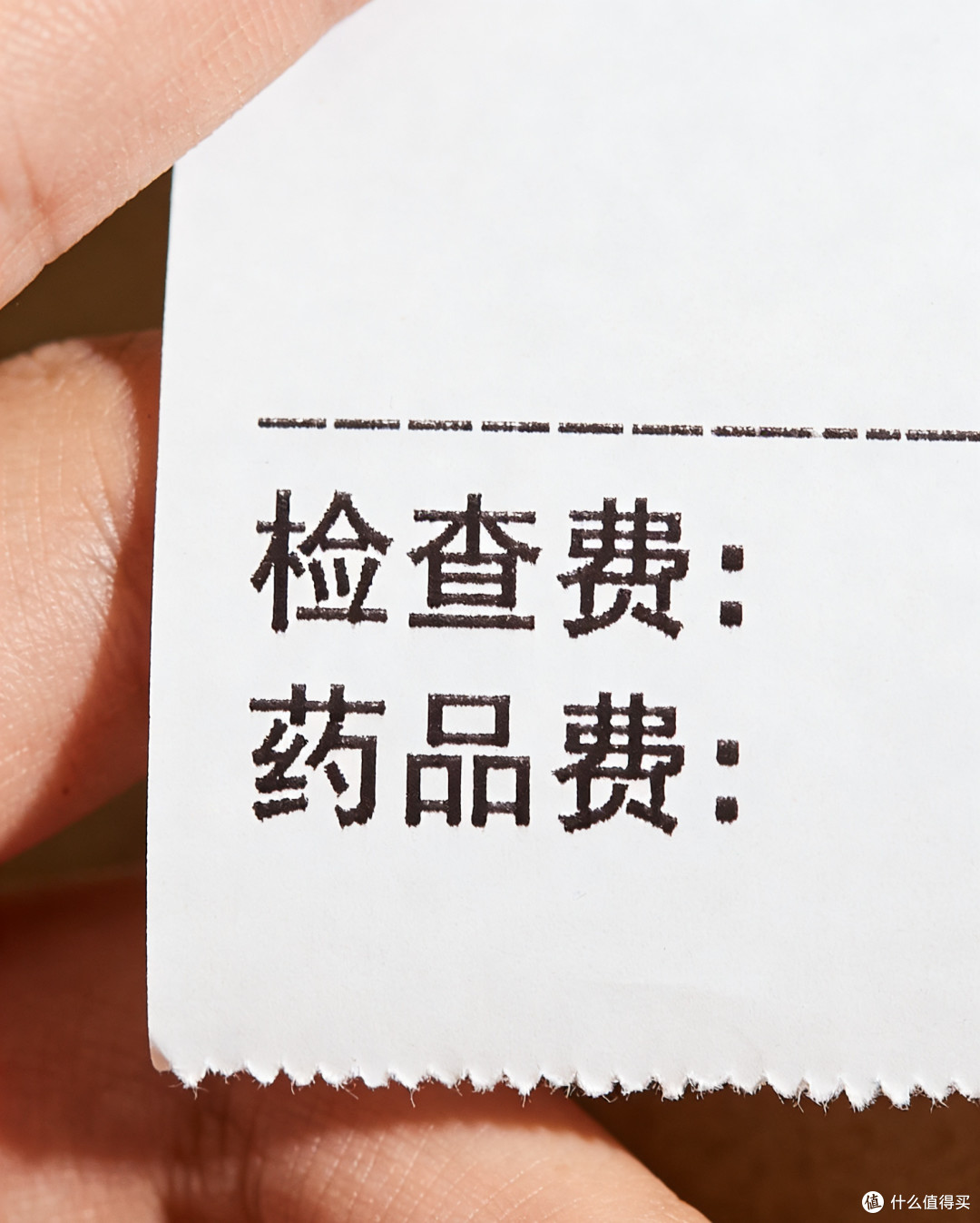 养宠家庭的隐形护盾：宠物险到底值不值得买