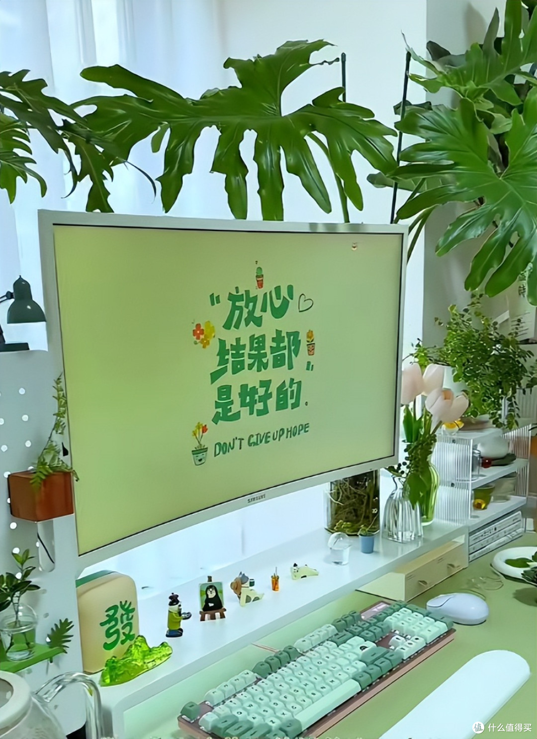 美女“工位上养芒果”火了，松弛感拉满，网友：举手先预定一个