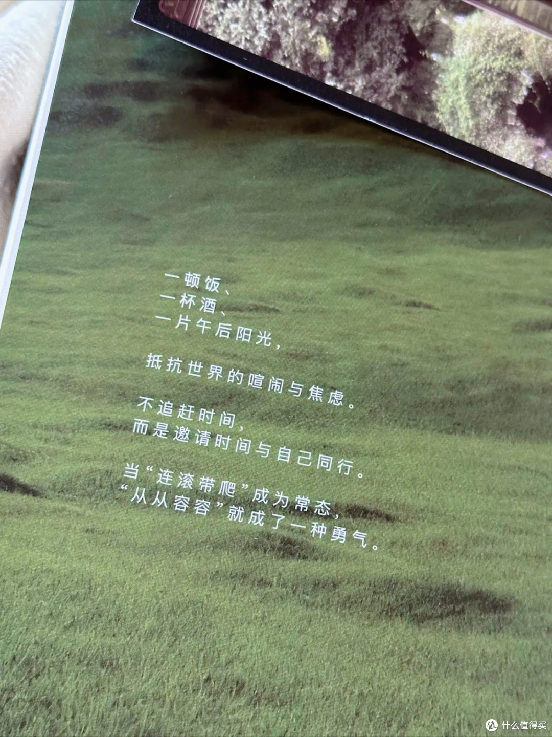 这本《从从容容游刃有余》,把“慢”写成了能落地的活法