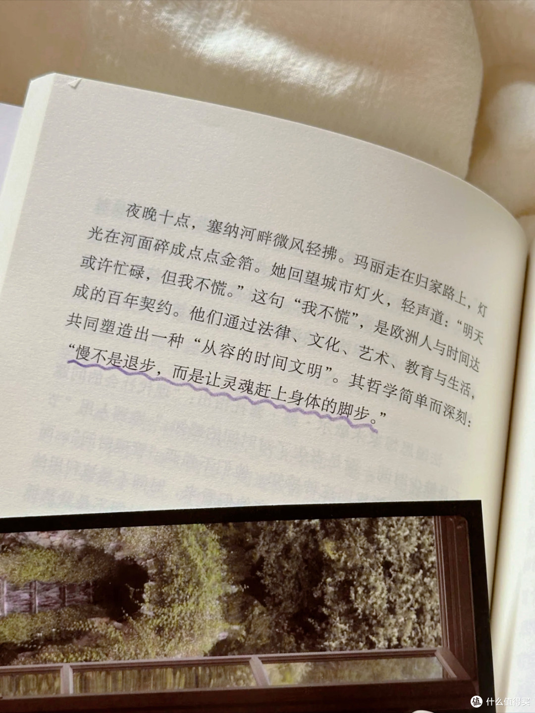 这本《从从容容游刃有余》,把“慢”写成了能落地的活法