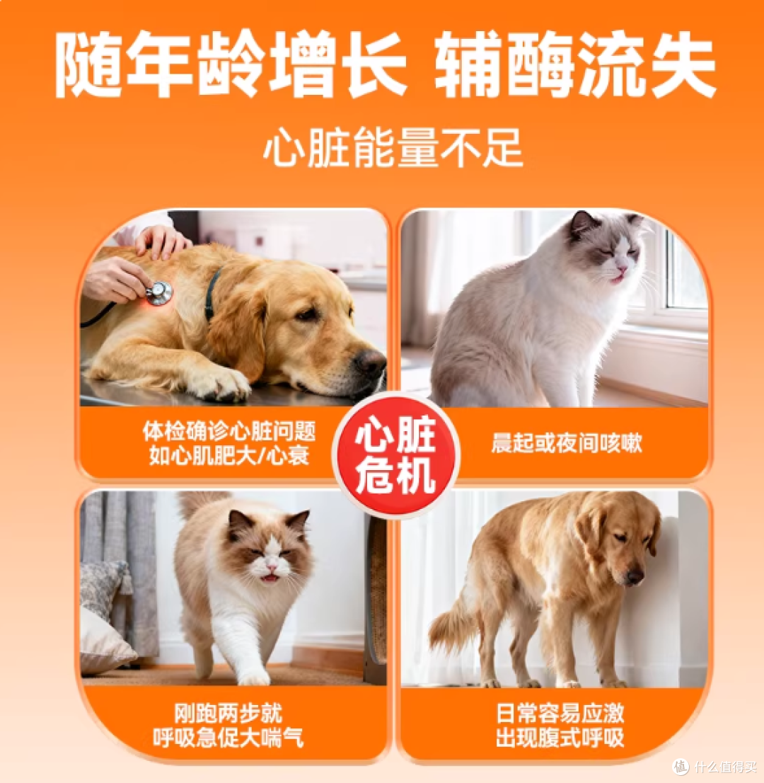 给家里心脏不太好的狗狗/猫咪补辅酶Q10,我为什么选了普安特这款