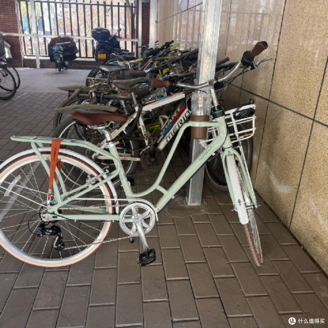 自然馈赠:林川的城市绿色生活方式