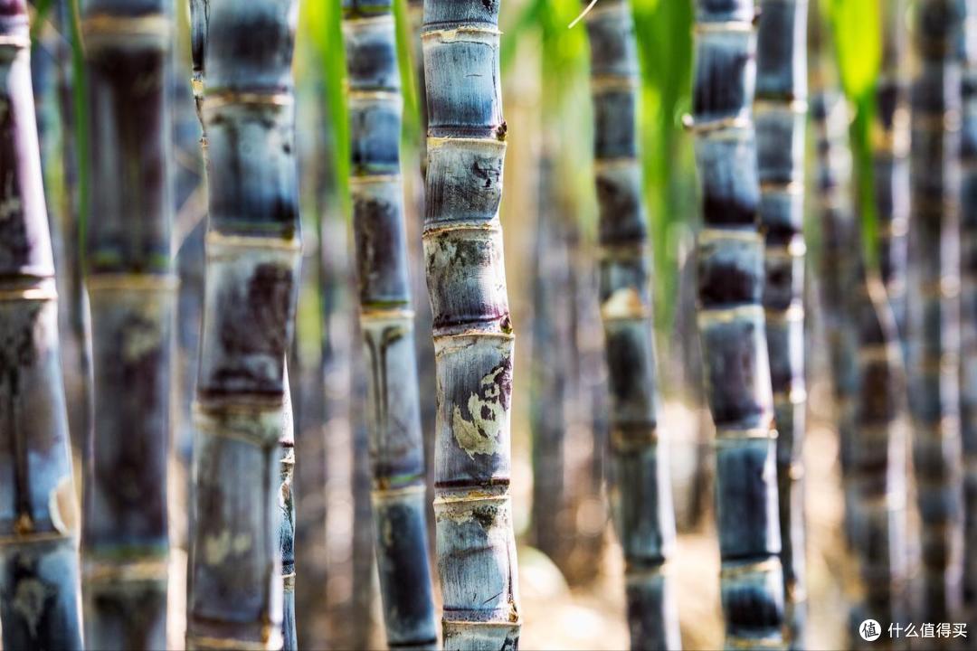 2月,吃啥应季水果?果农推荐这10种,新鲜营养高,错过再等一年