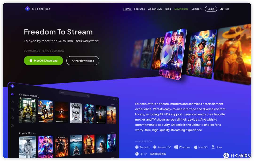 『NAS』有时候能用的视频娱乐媒体中心-Stremio