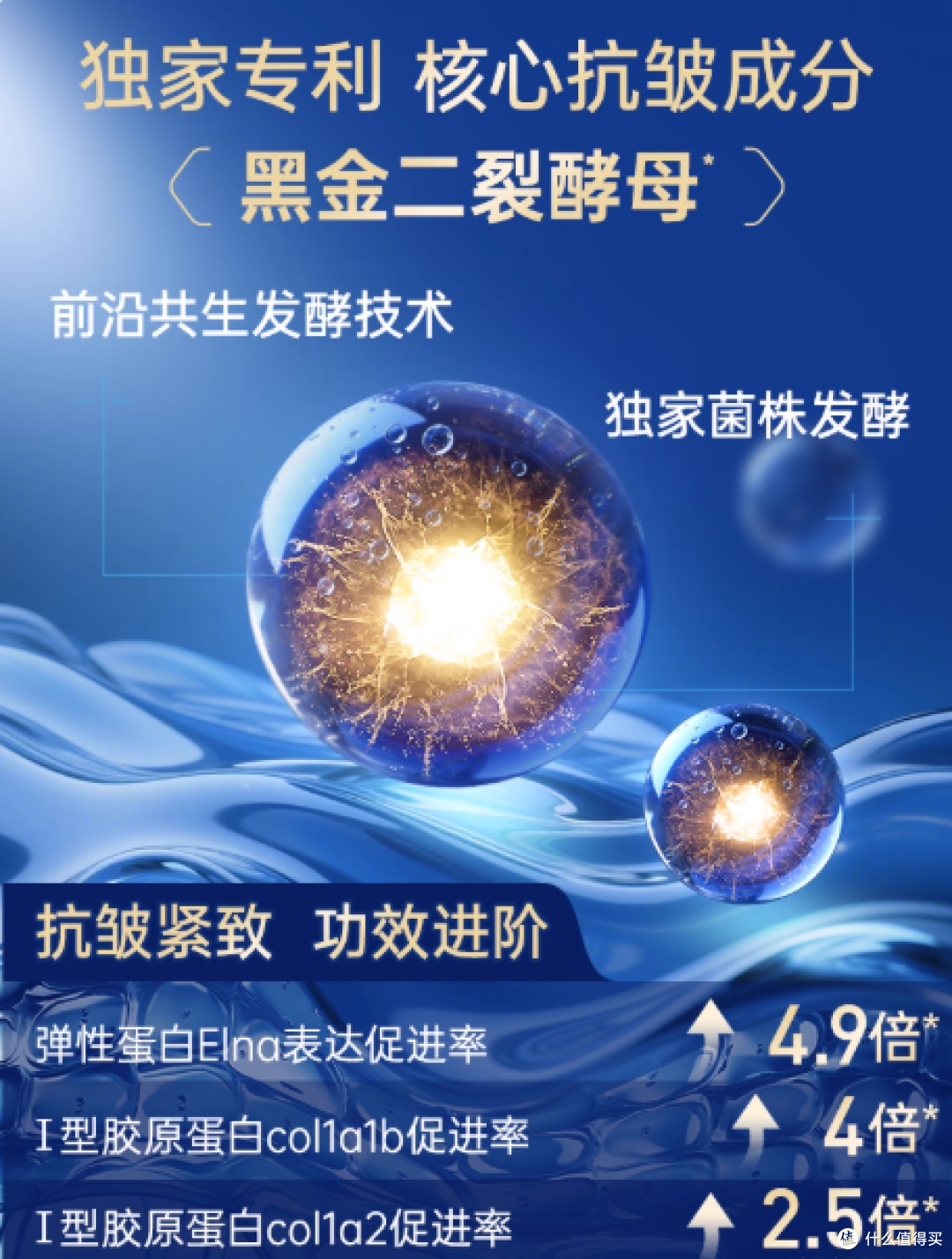 膜法世家黑金二列酵母专利