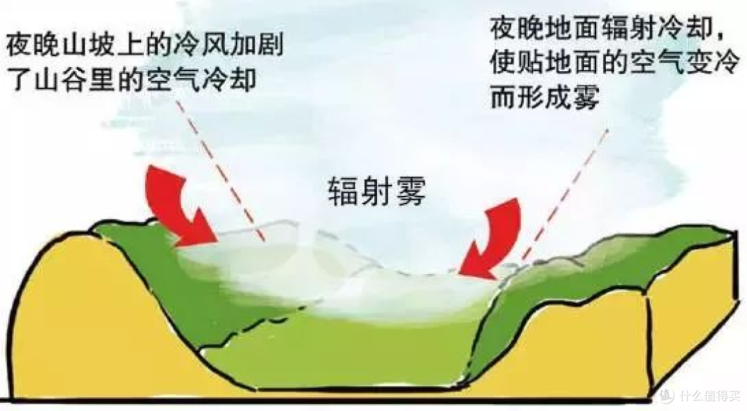 雾天行车别慌!这份 “避坑指南” 帮你安全 “冲” 出雾区