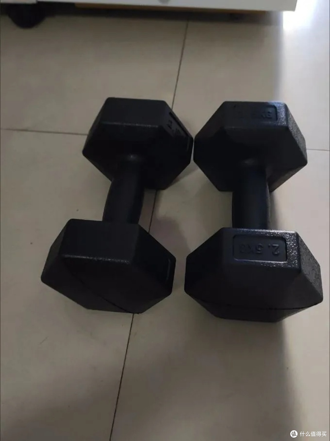 运动这一年,咋样?|一对哑铃,我练出了一整年的坚持与改变