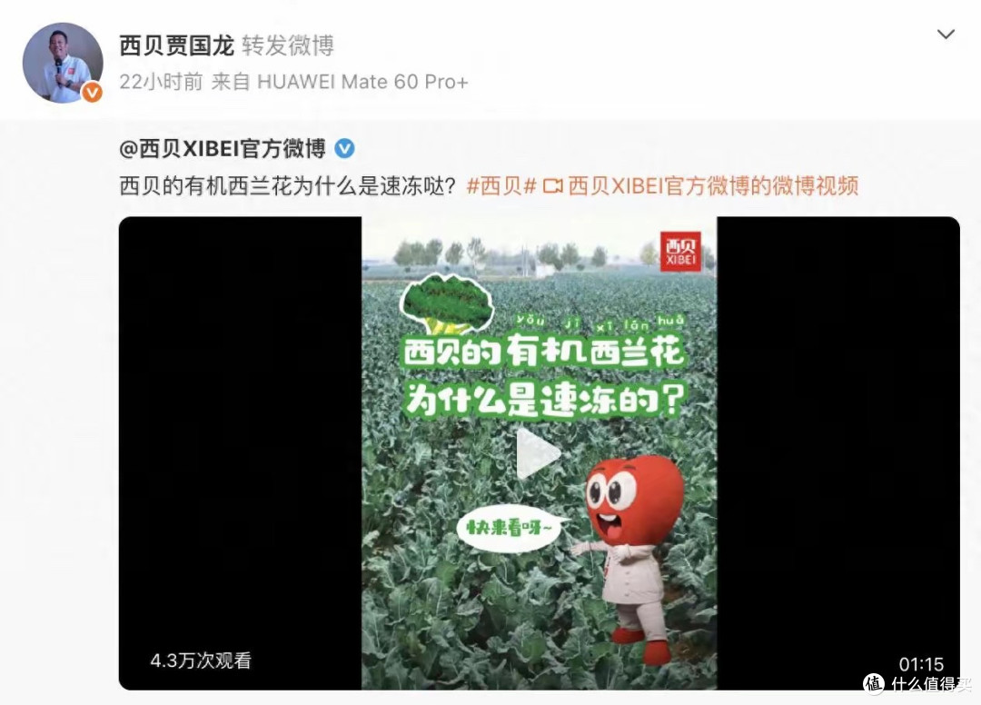 解禁仅1天!贾国龙再辩冰冻西兰花,罗永浩发《征服》,网友不解