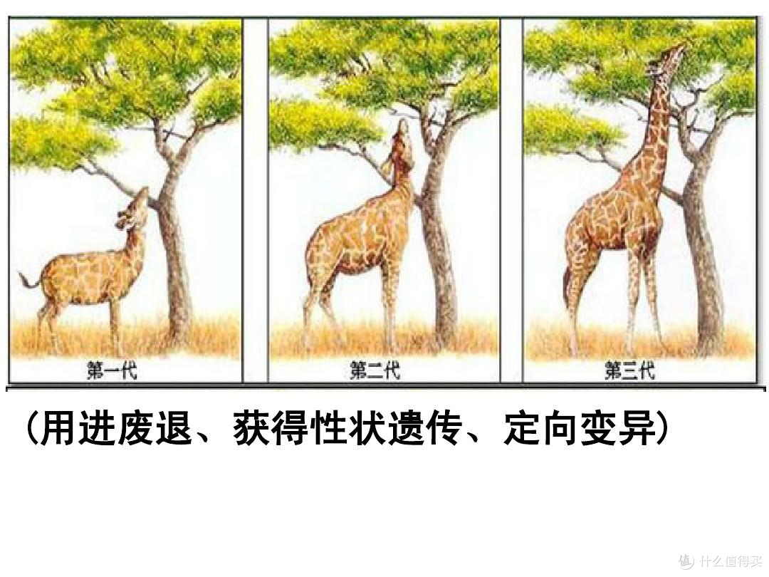 AI 会不会害了下一代?孩子脑子变懒、情感淡漠,真相太扎心