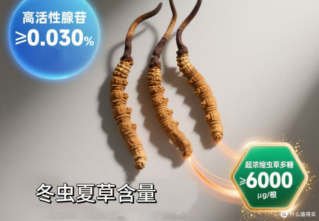 冬虫夏草哪个牌子质量好?十大品牌榜单出炉,日常滋补送礼皆可