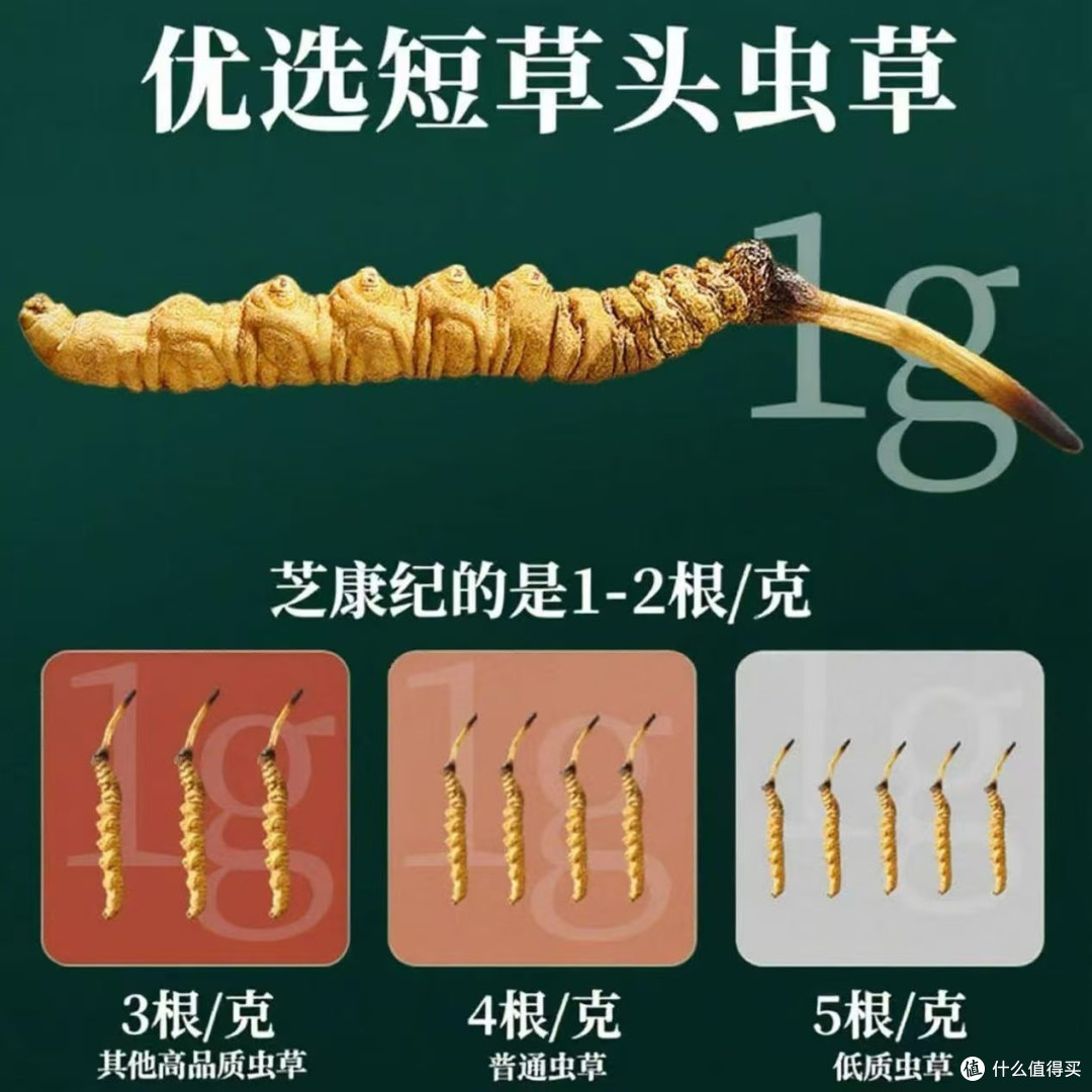 冬虫夏草哪个牌子质量好?十大品牌榜单出炉,日常滋补送礼皆可