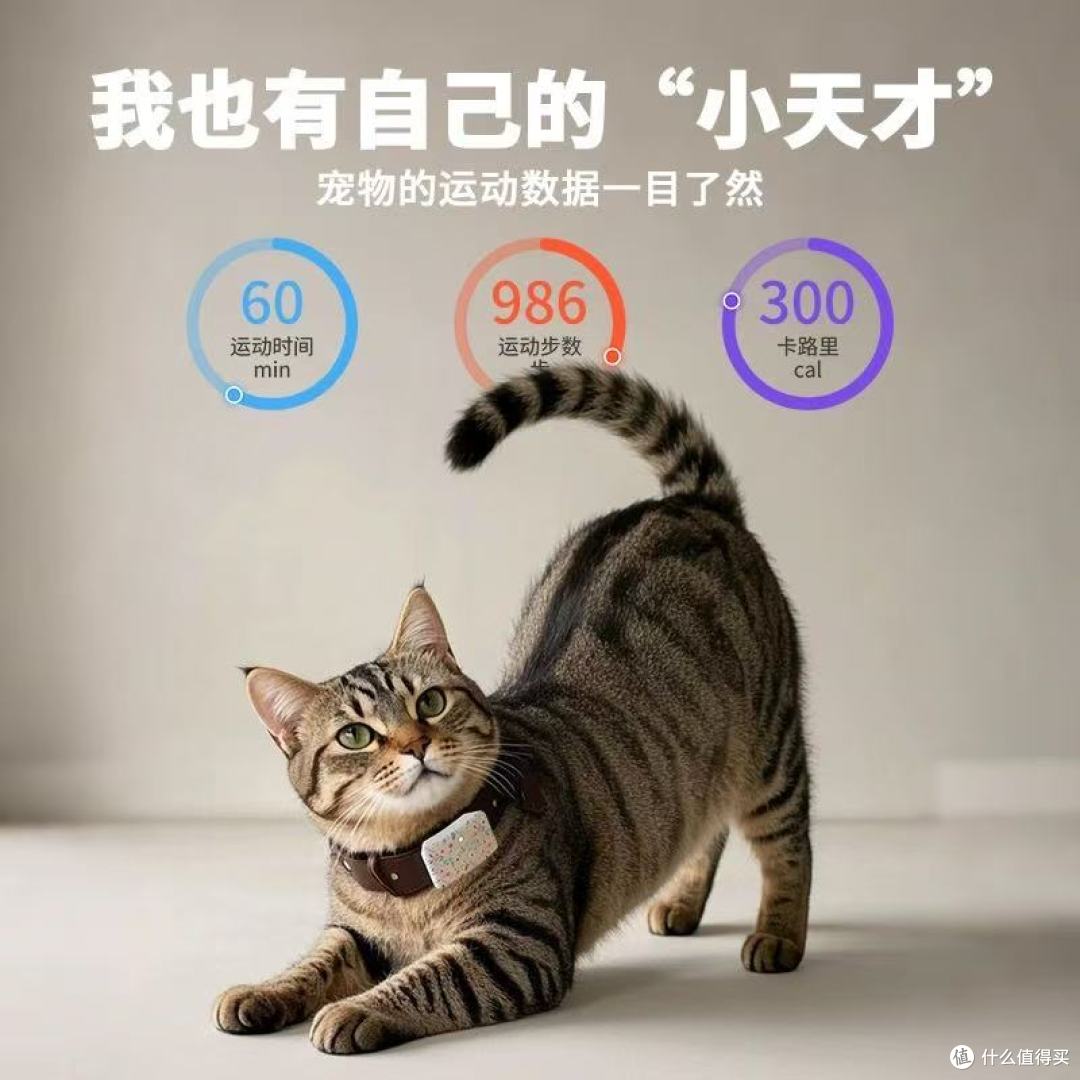 宠悦悦宠物定位器|养宠人终于告别丢宠焦虑✅
