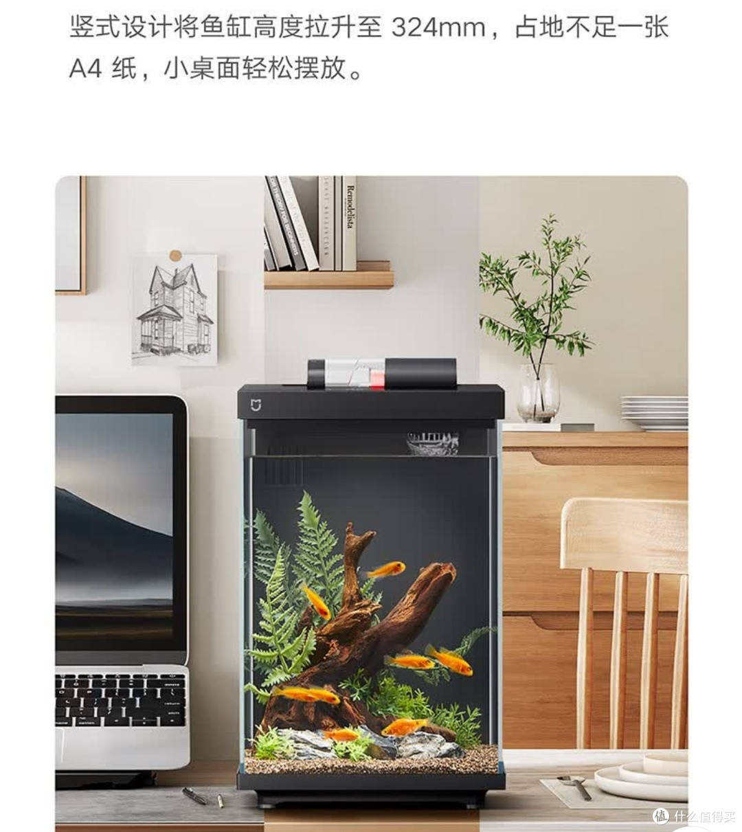 马年添吉庆!米家智能鱼缸,新手也能轻松拿捏健康养宠