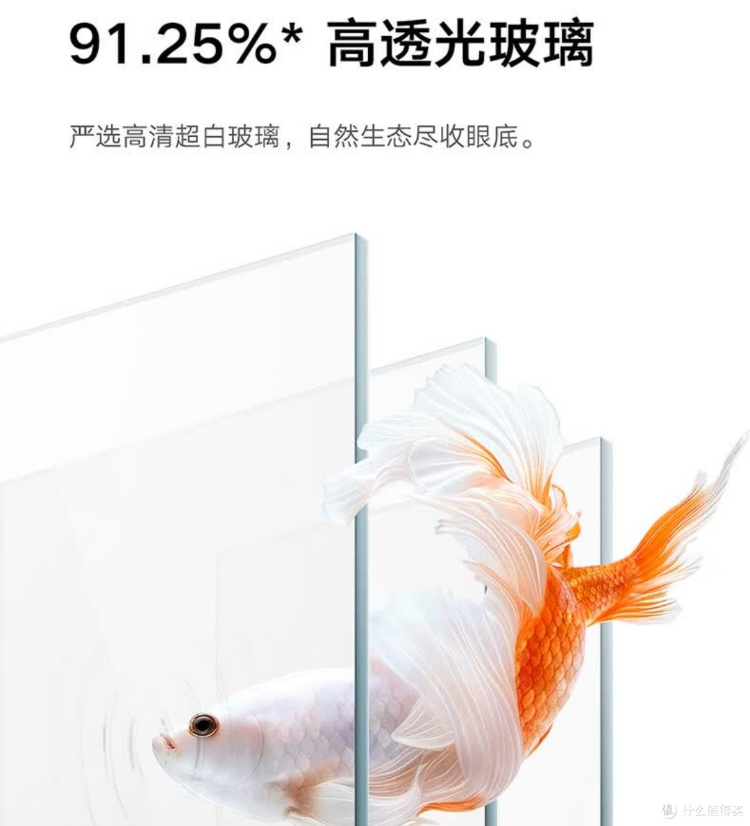 马年添吉庆!米家智能鱼缸,新手也能轻松拿捏健康养宠