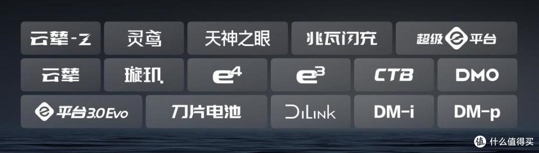30.55%复购率什么概念?比亚迪用复购率印证品牌力