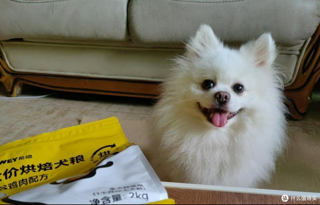 【新手养犬】如何给狗狗正确喂食？狗粮和狗罐头该如何分配？