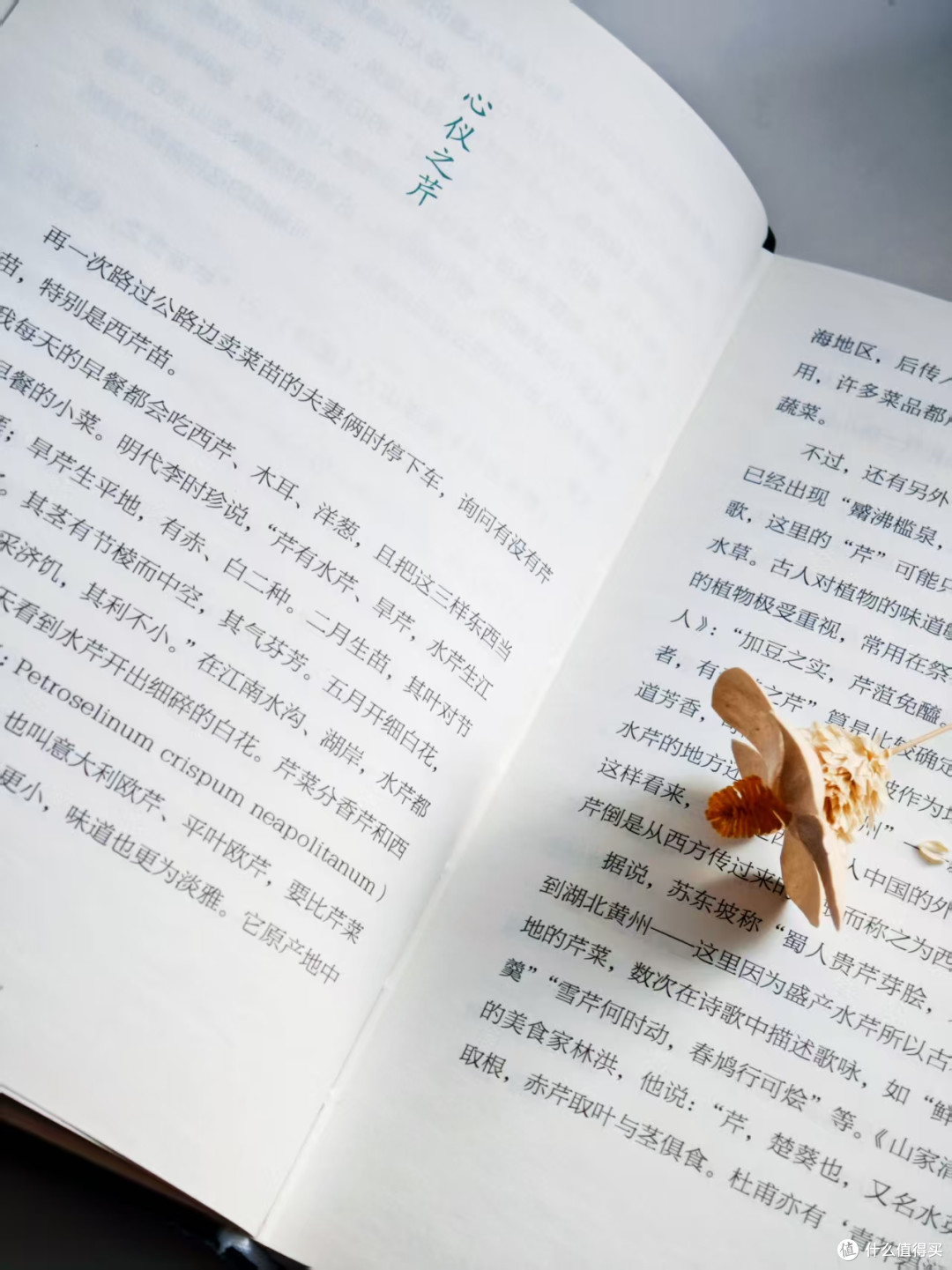 3200字长文深度分享私藏散文书单:每一篇文章都是地道的烟火人间