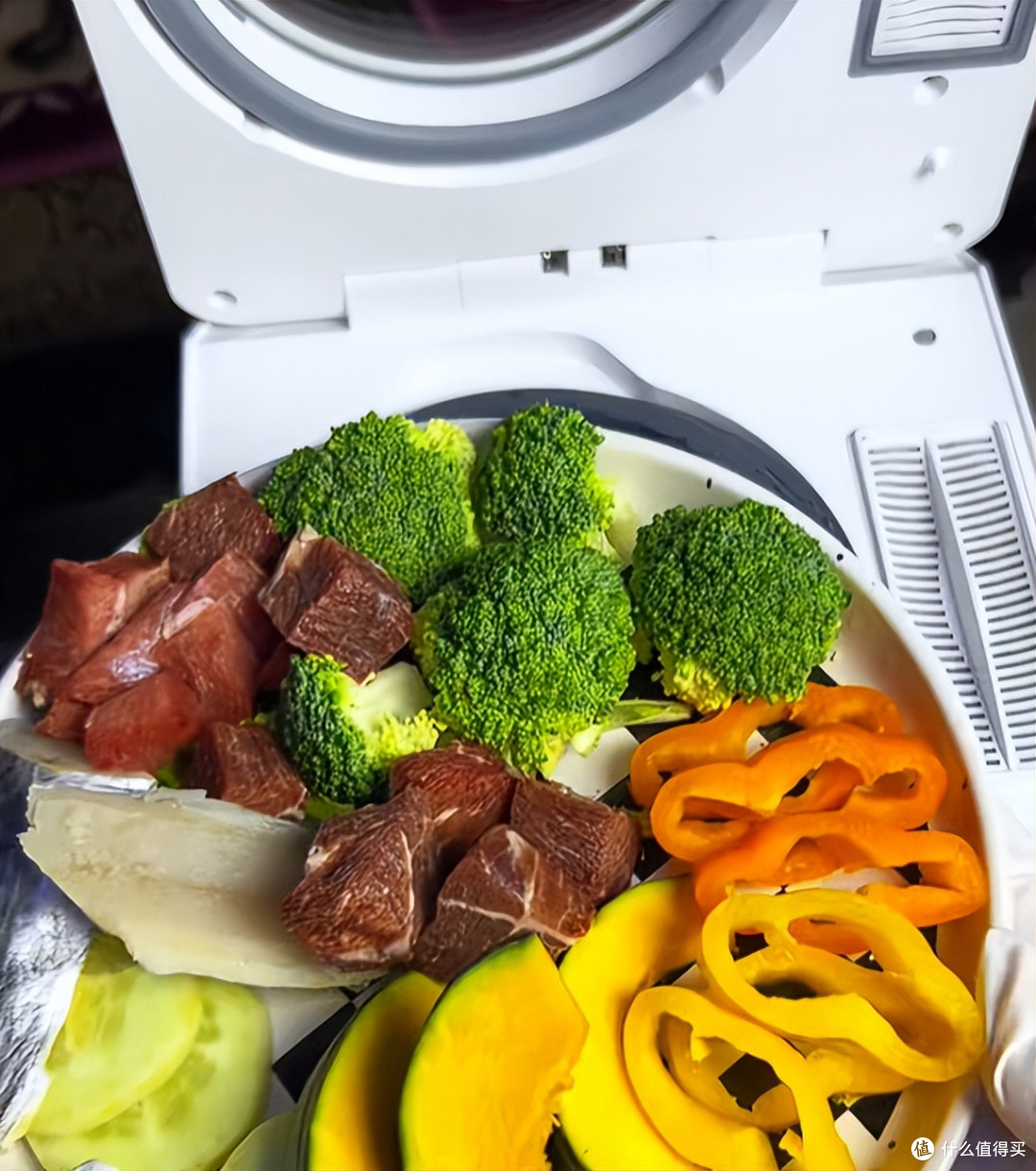 分享自用CEWEY F10宠物料理机做自制狗饭的真实感受