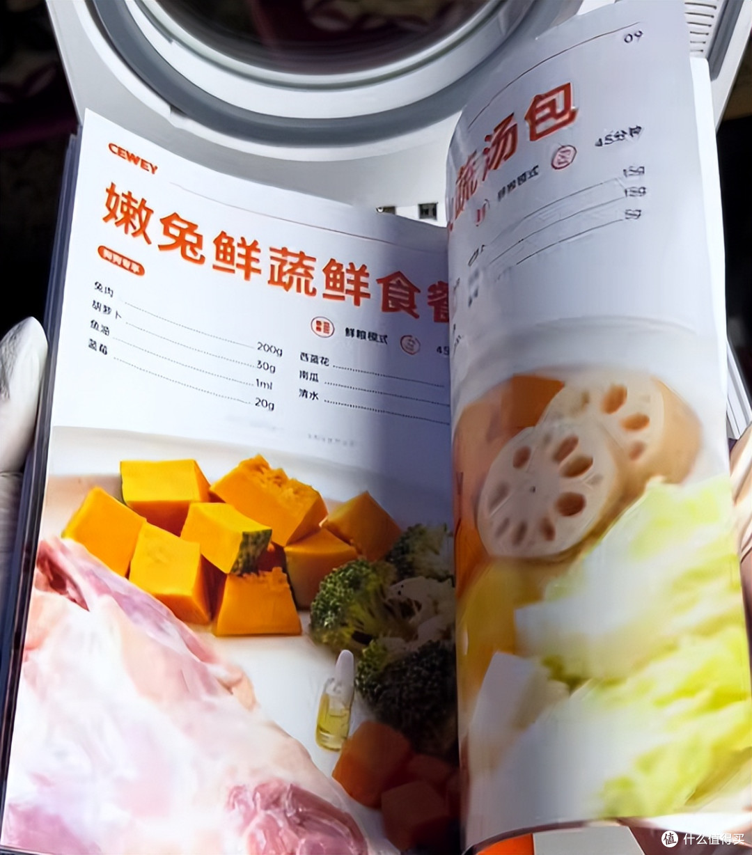 分享自用CEWEY F10宠物料理机做自制狗饭的真实感受