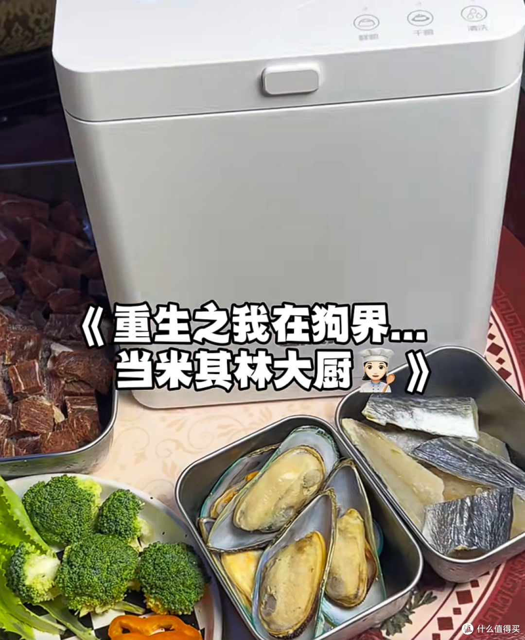 分享自用CEWEY F10宠物料理机做自制狗饭的真实感受