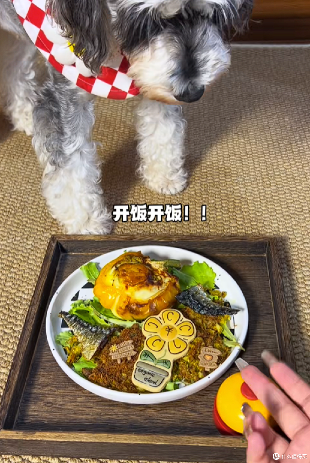 分享自用CEWEY F10宠物料理机做自制狗饭的真实感受