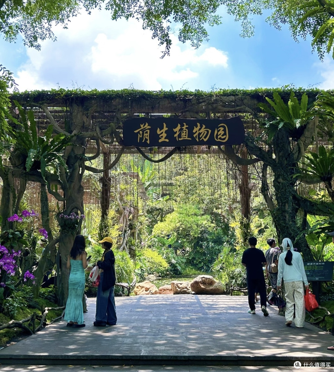 南宁青秀山新春灯会之旅