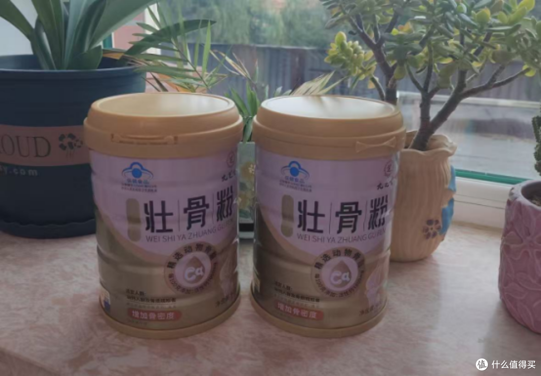蛋白粉怎么选?十大排名完整版测评,梳理蛋白粉品牌综合排名