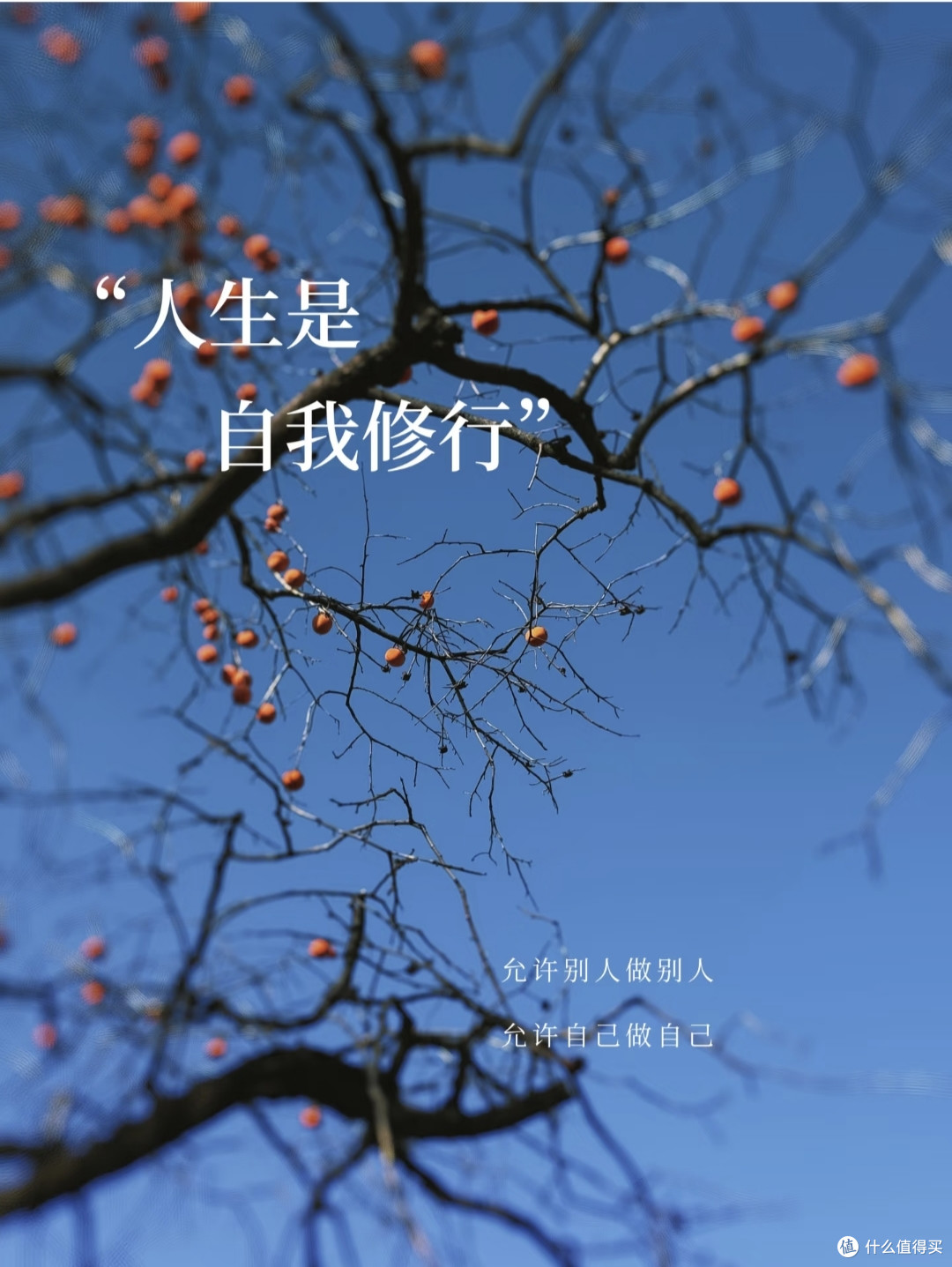 是不是半吊子才会反中医,真科学家并不排斥中医?