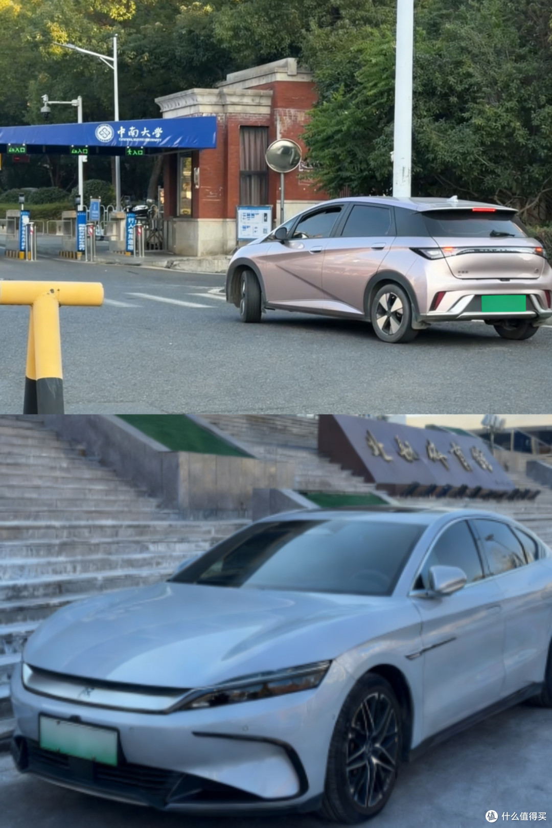 大学老师开什么车?比亚迪成首选,高知人群对品牌和技术的信任