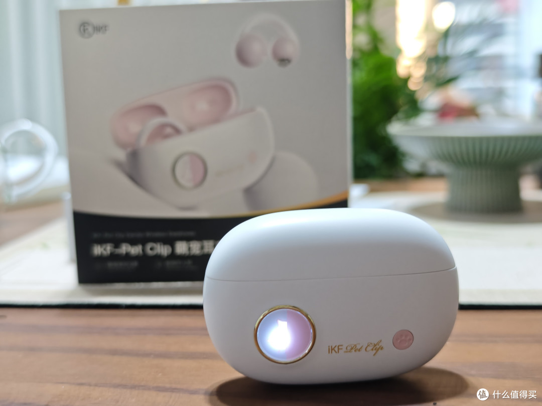 茶烟伴乐声,轻夹享清欢——我与iKF Pet Clip耳机的品茶时光
