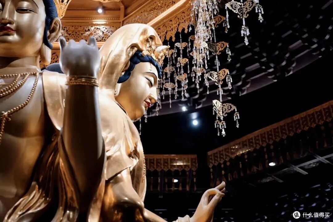 可能你不信,追太阳跑了一天后,我对浙江的海很服气