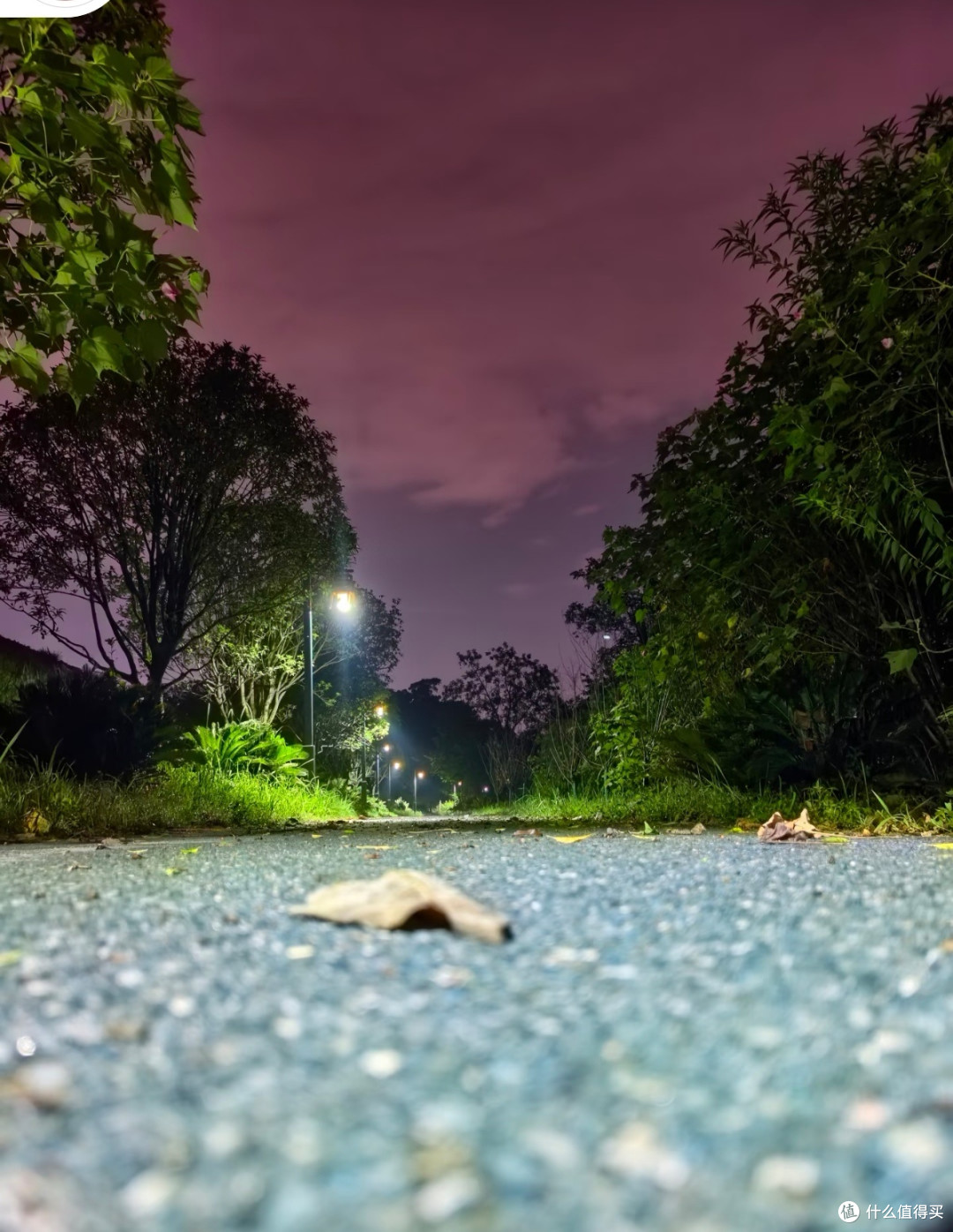 一年夜跑带来的身心变化