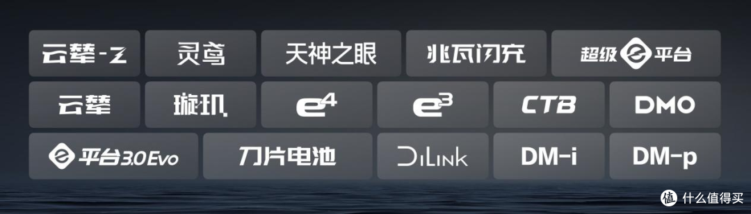 比亚迪30.55%复购率一骑绝尘，揭秘存量市场增长密码