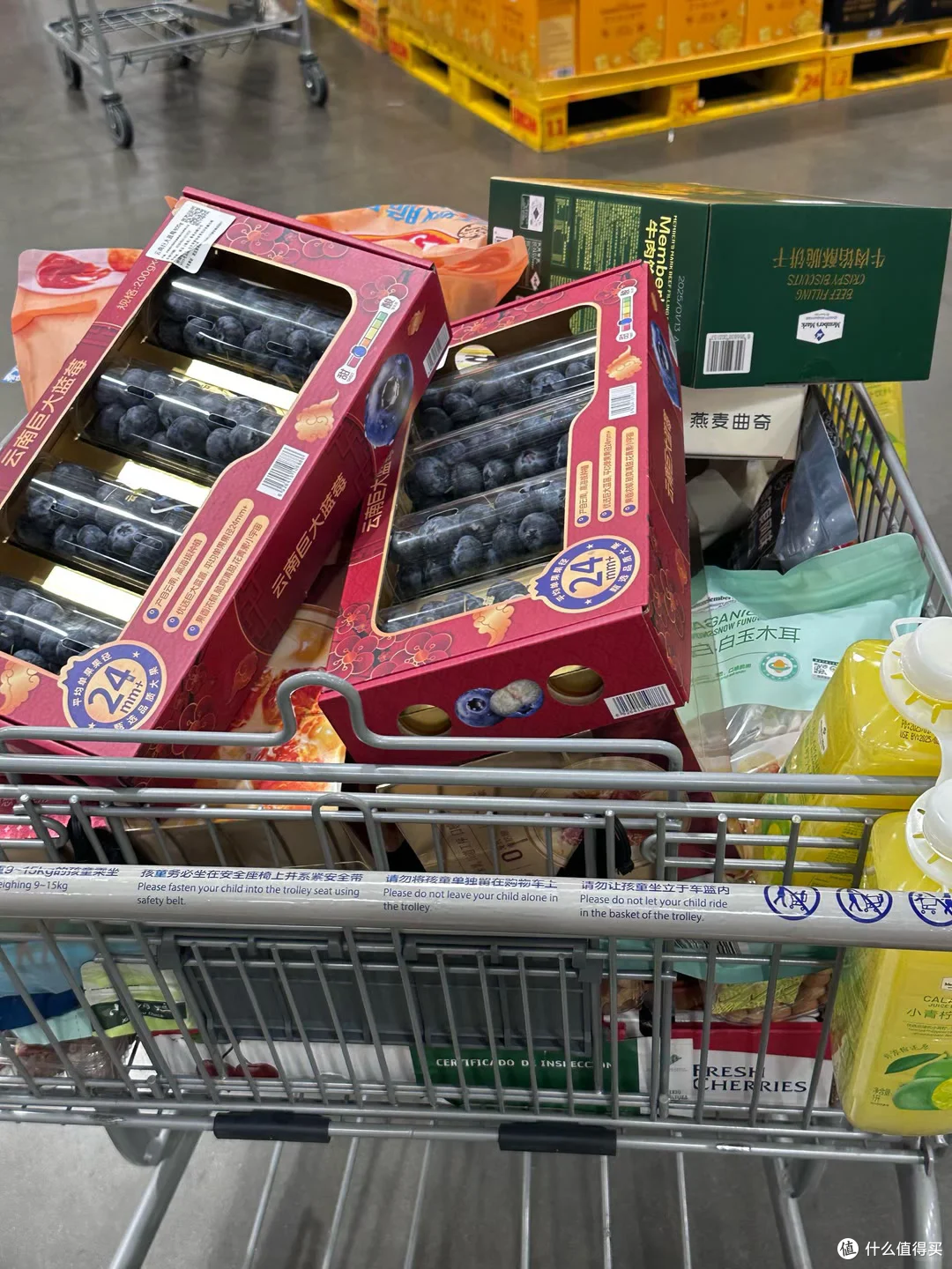 不花一分钱,用30个玩法带娃见世面:聪明家长都这样做