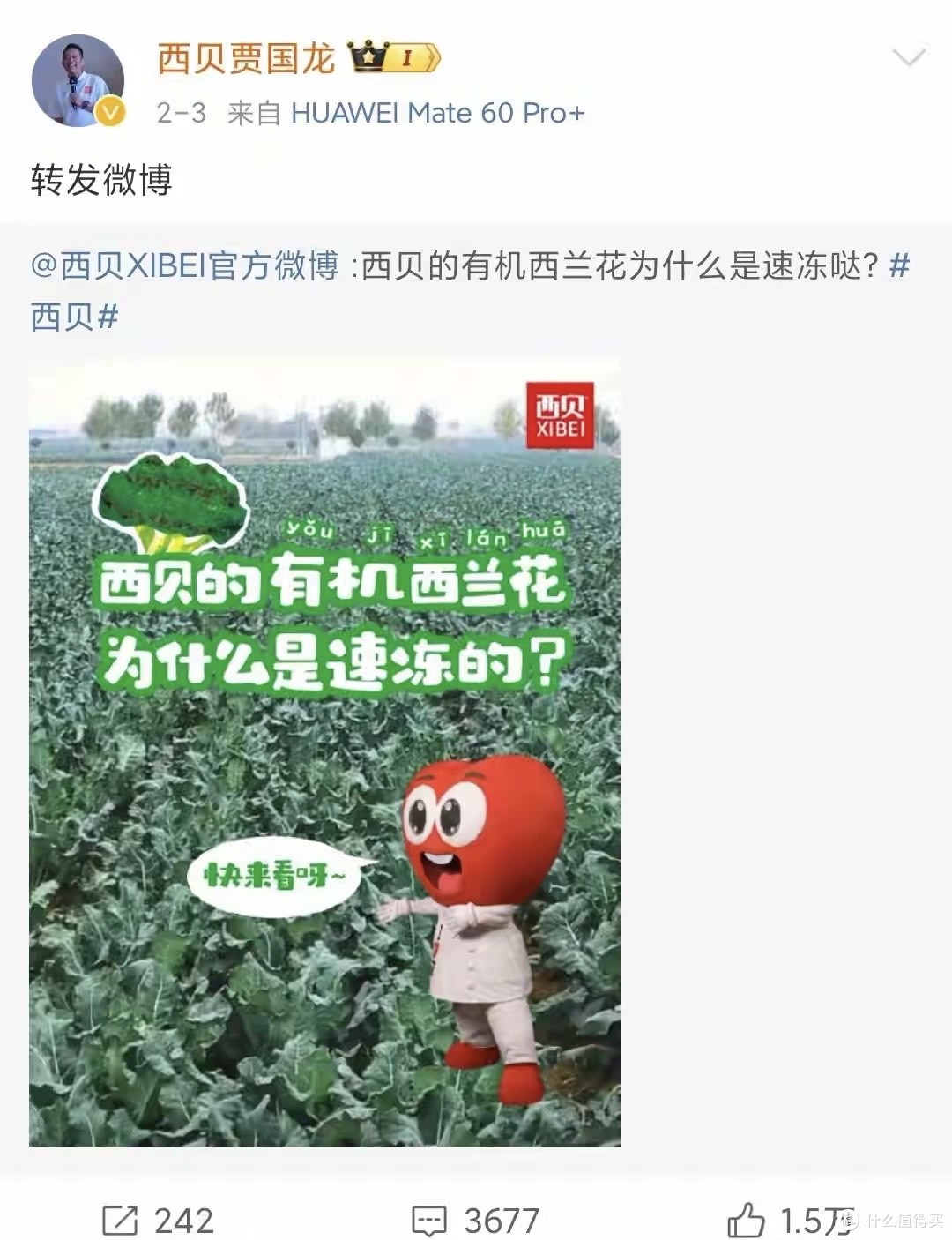 好消息!贾国龙禁言解除了,坏消息!他又在说西兰花了