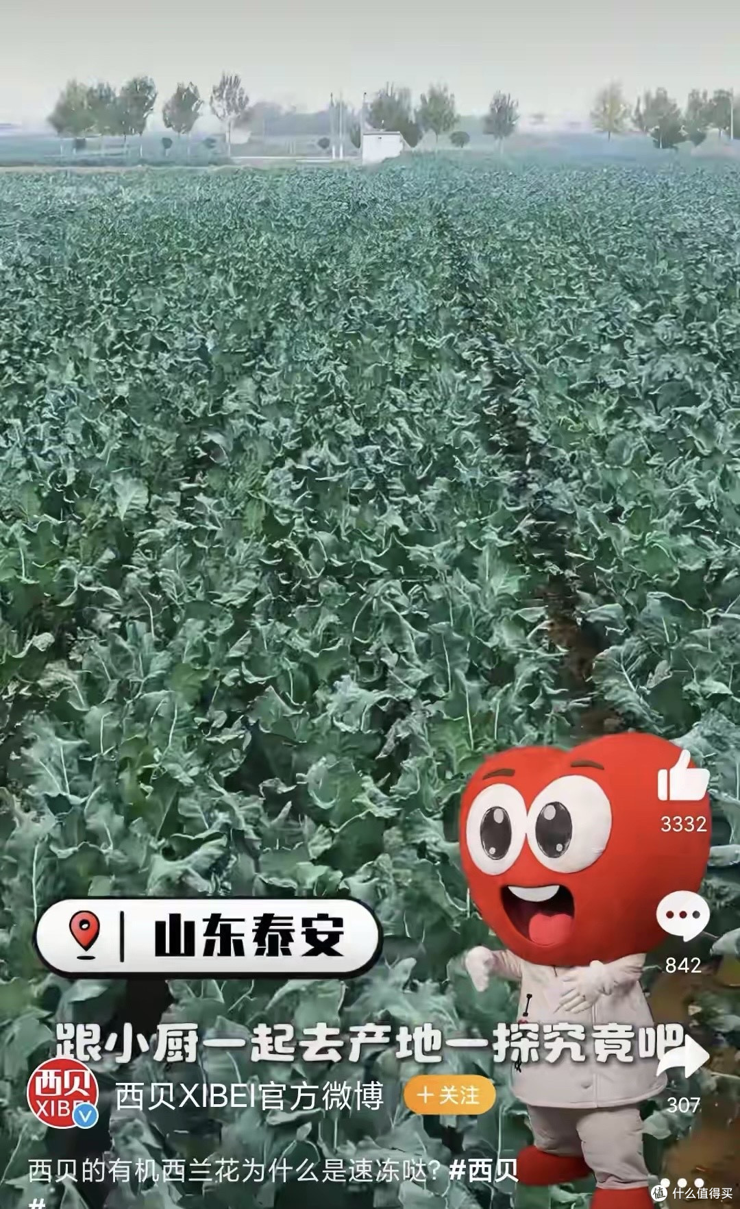 好消息!贾国龙禁言解除了,坏消息!他又在说西兰花了