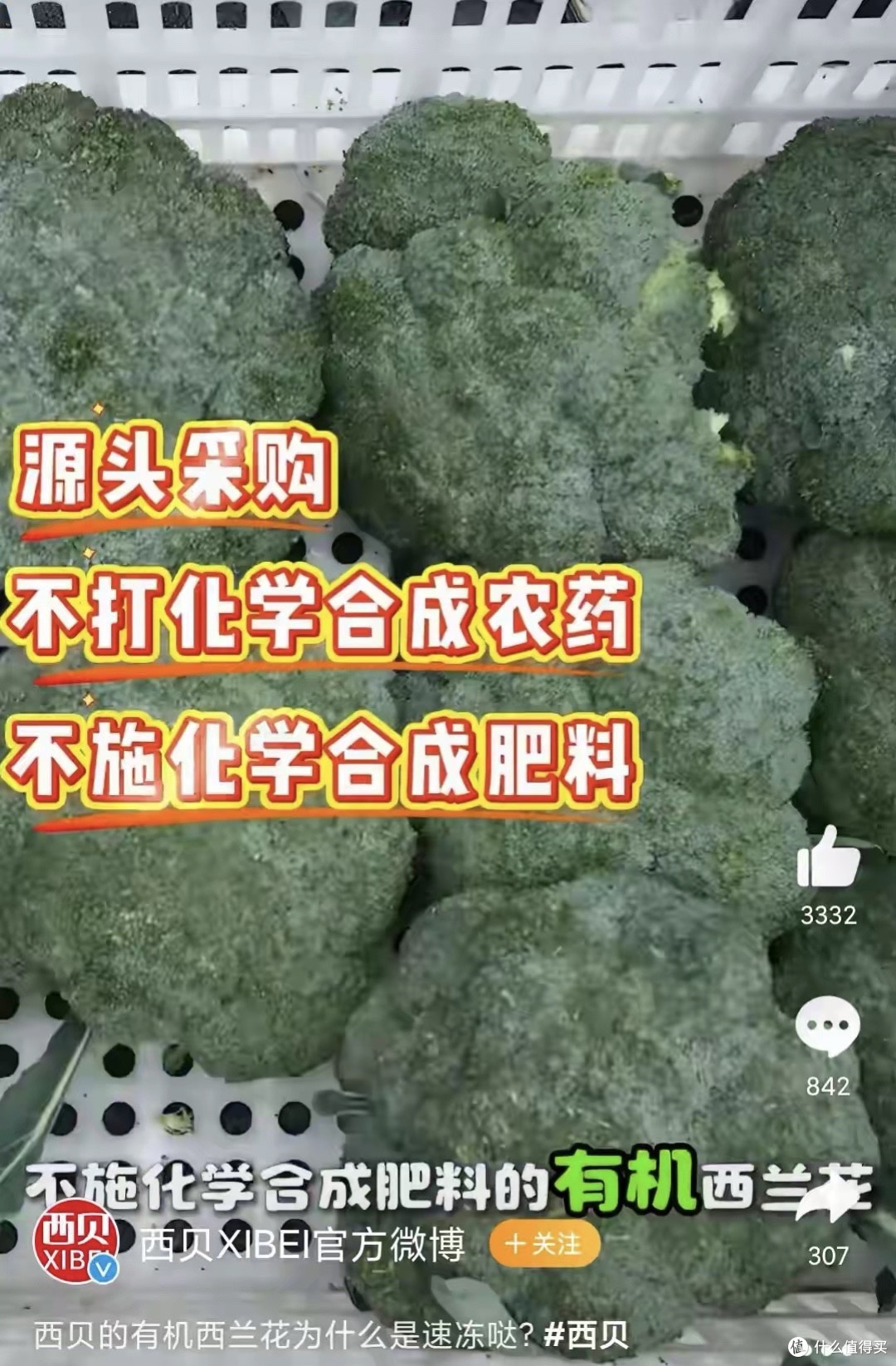 好消息!贾国龙禁言解除了,坏消息!他又在说西兰花了
