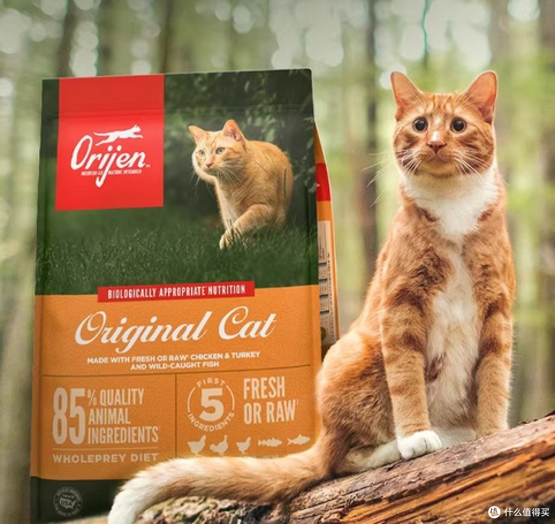 有口碑公认好的国产猫粮推荐？2026年国产十大放心猫粮品牌排行榜